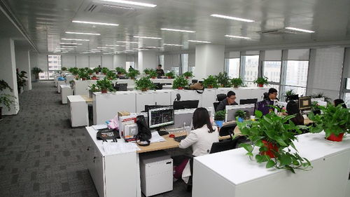中机国际工程设计研究院有限责任公司招聘信息 2020公司简介地址 北极星工程招聘网