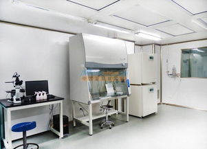 维诺特提供好的实验供气系统 三明实验室整体解决方案